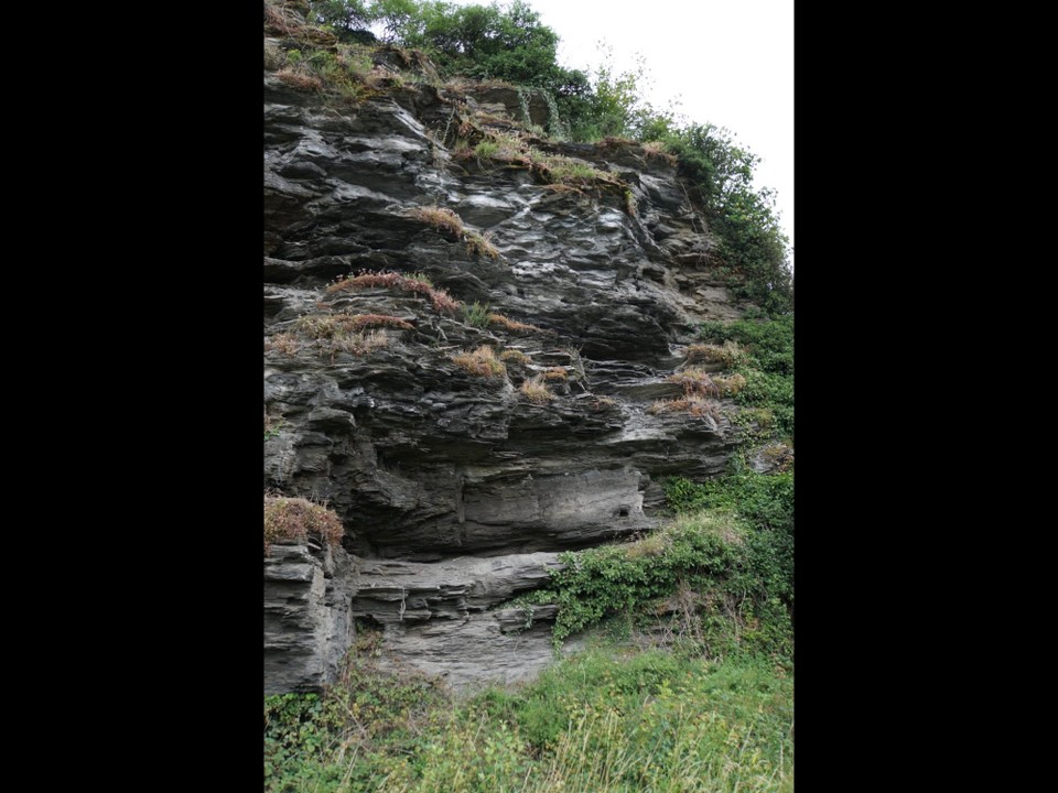 Deutschland - Piesport - Schieferfels = Weinanbau an der Mosel