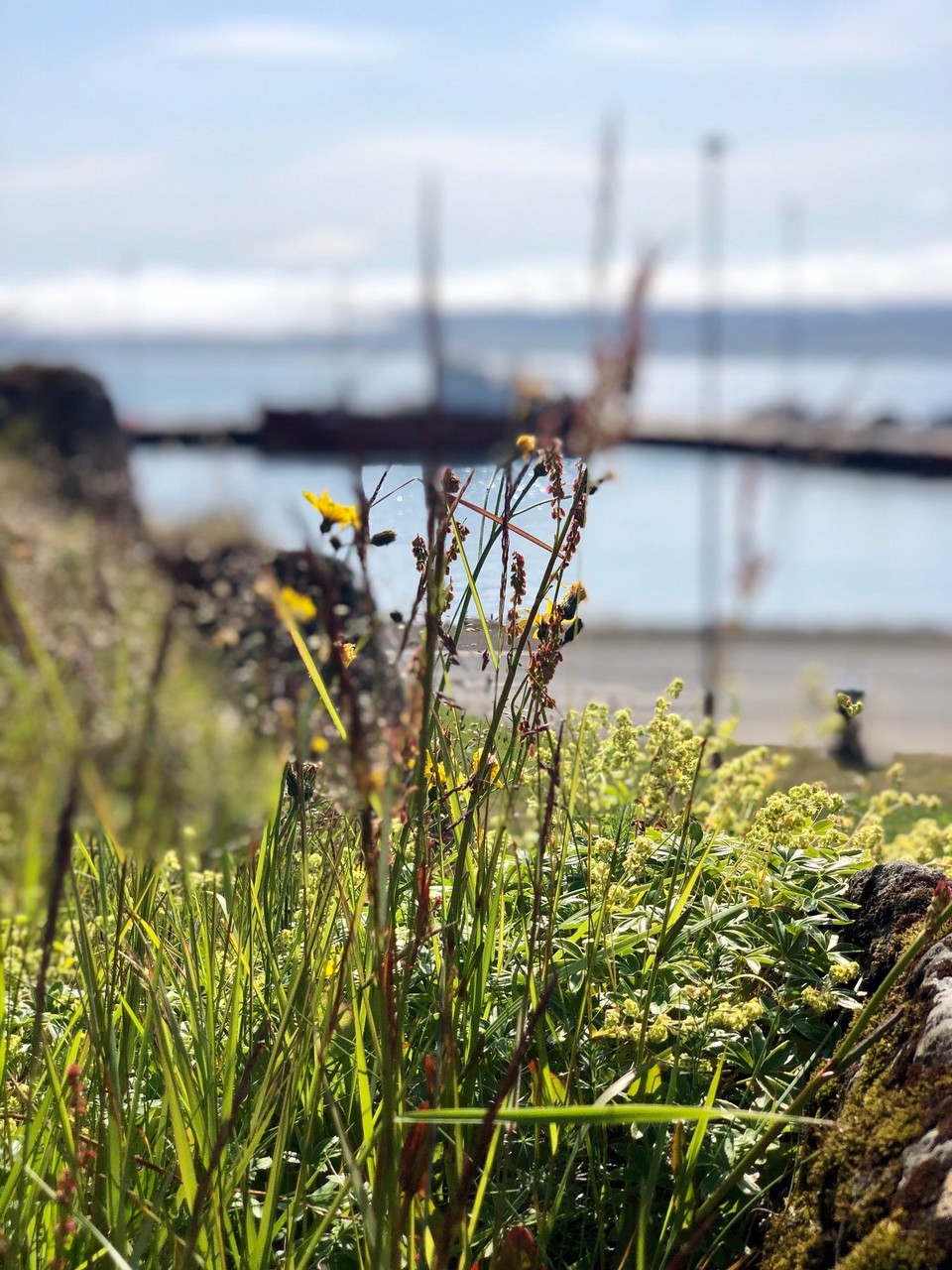 Island - Hólmavík - 🥰