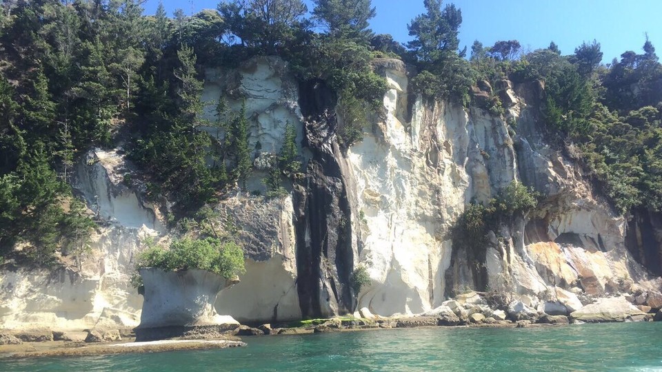 New Zealand - Whangapoua - 