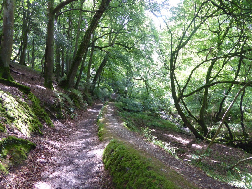 United Kingdom - Helston - It followed the stream which flows into Helford creek. 