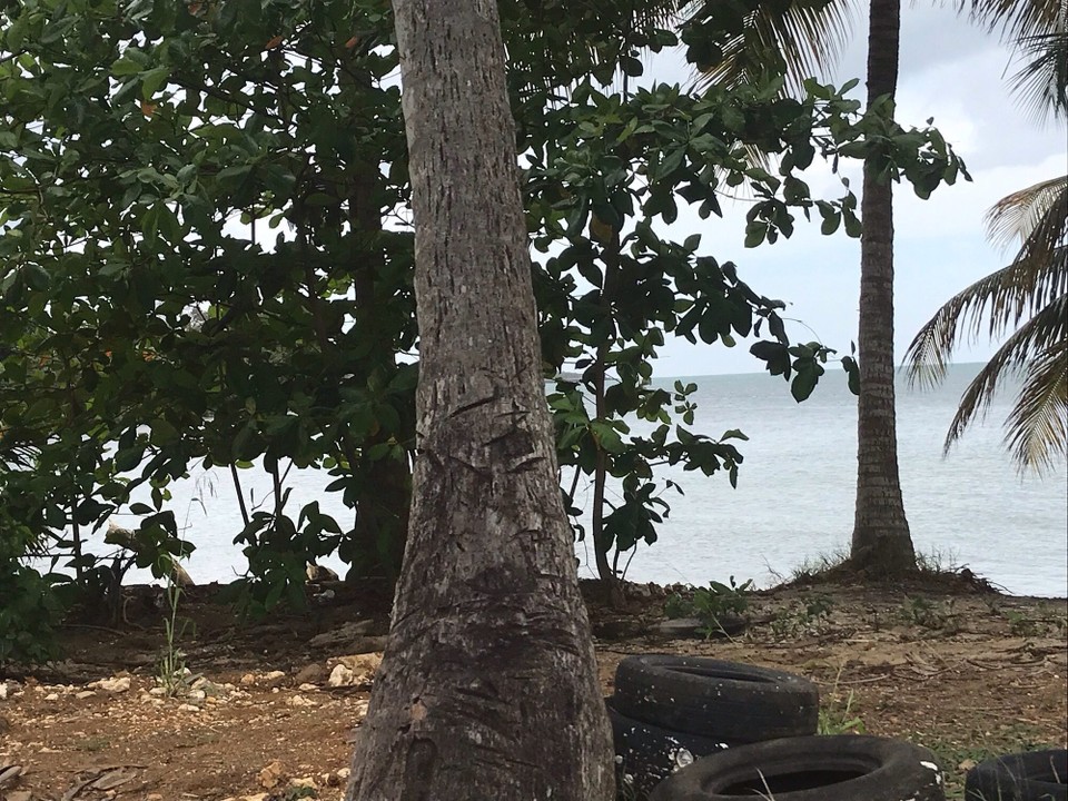 Guadeloupe -  - 