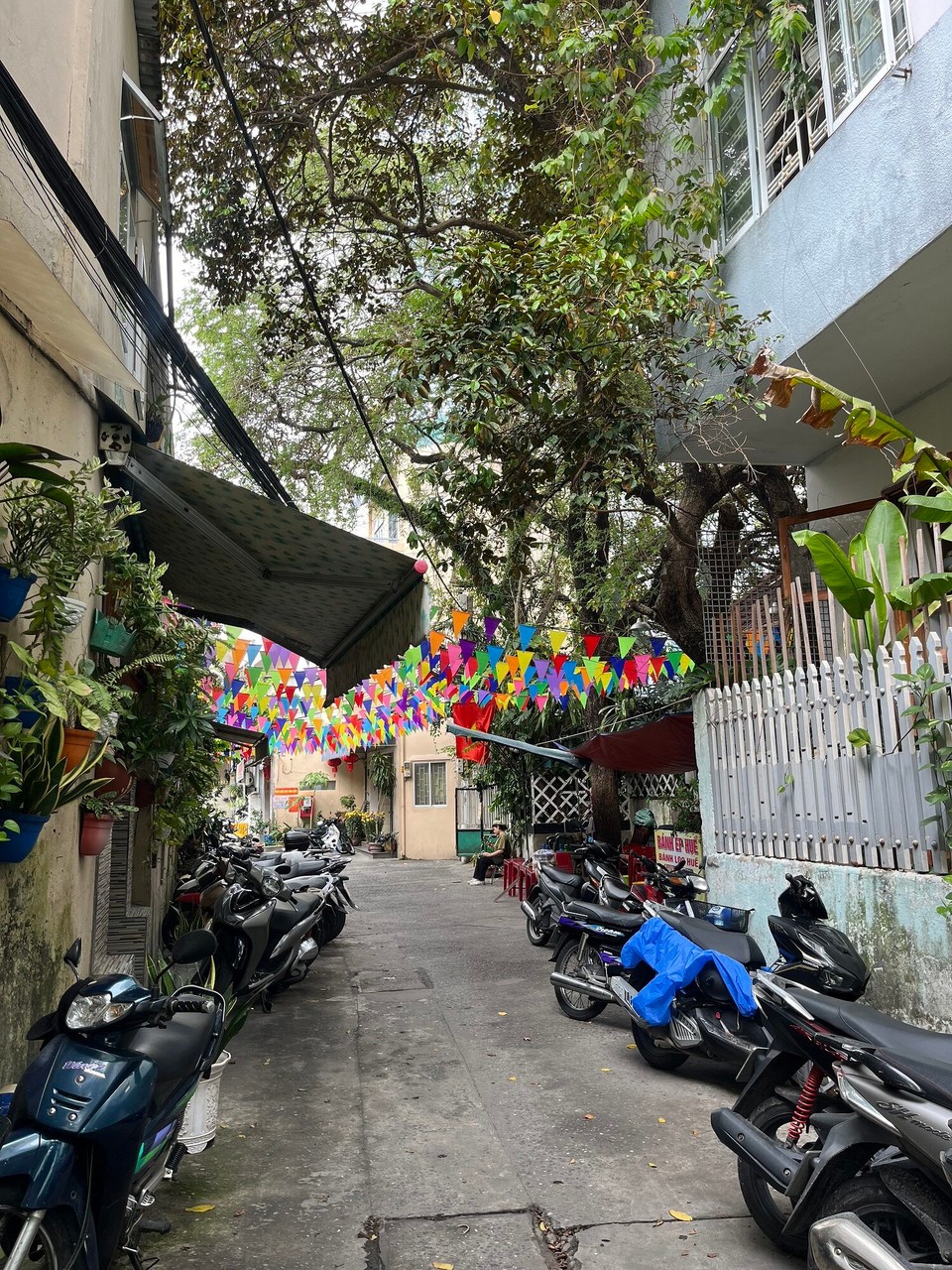 Vietnam - Da Nang - 