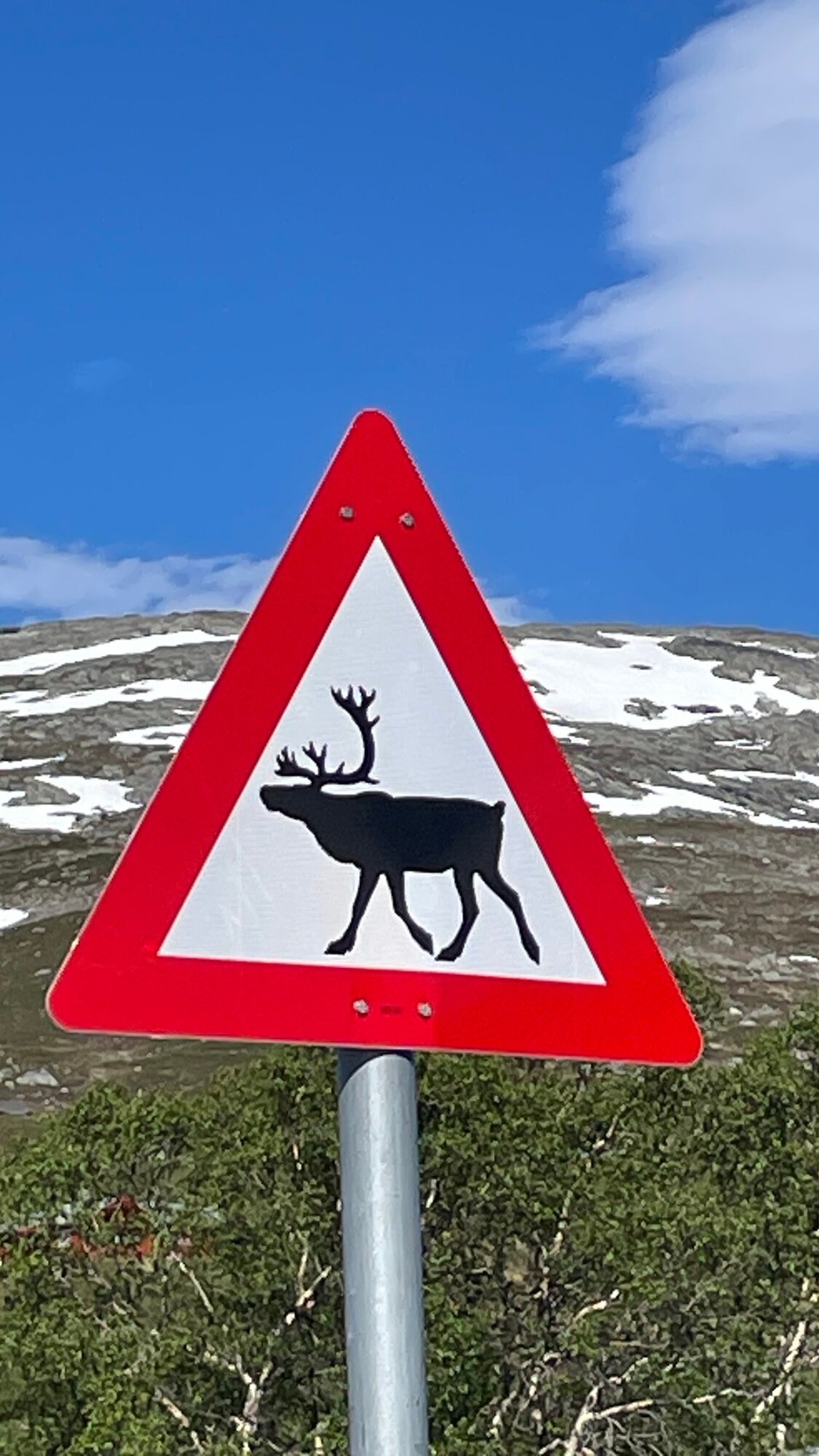 Norwegen - Geiranger - 