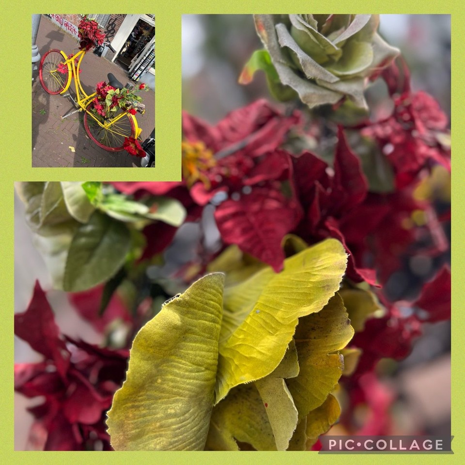 Niederlande - Amsterdam - 