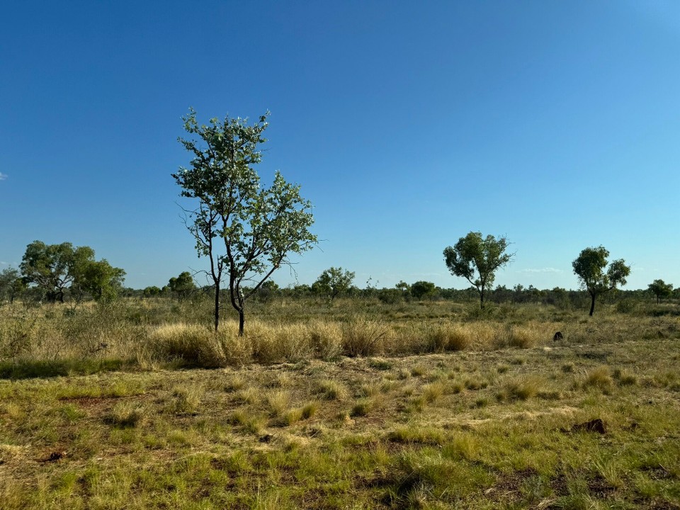 Australien - Tablelands - 