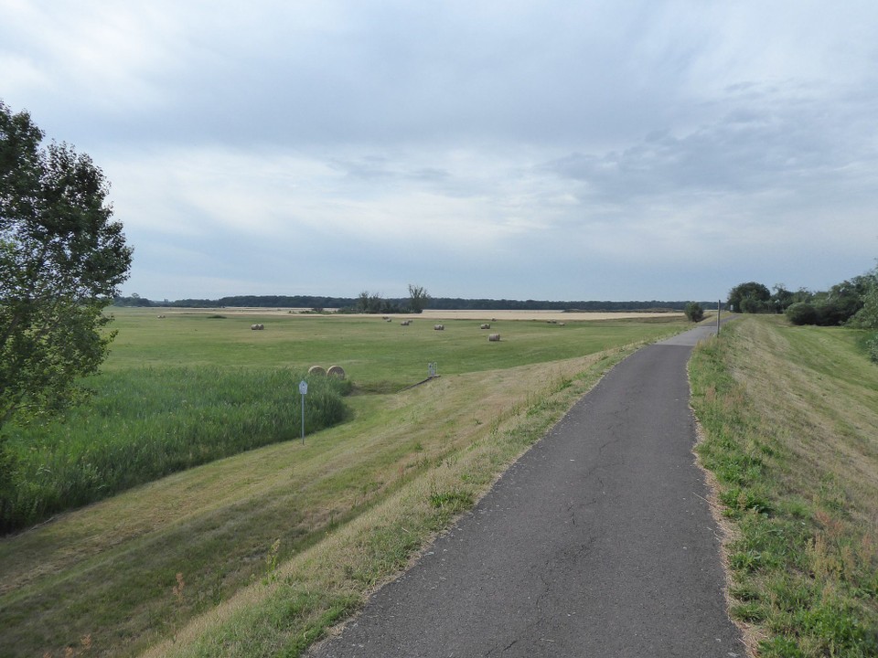 Deutschland - Dessau-Roßlau - Der Beginn war wunderbar wie immer. Schnell dahin auf Deichen, durch Felder und Wälder. Diese Wege werden mir niemals langweilig.