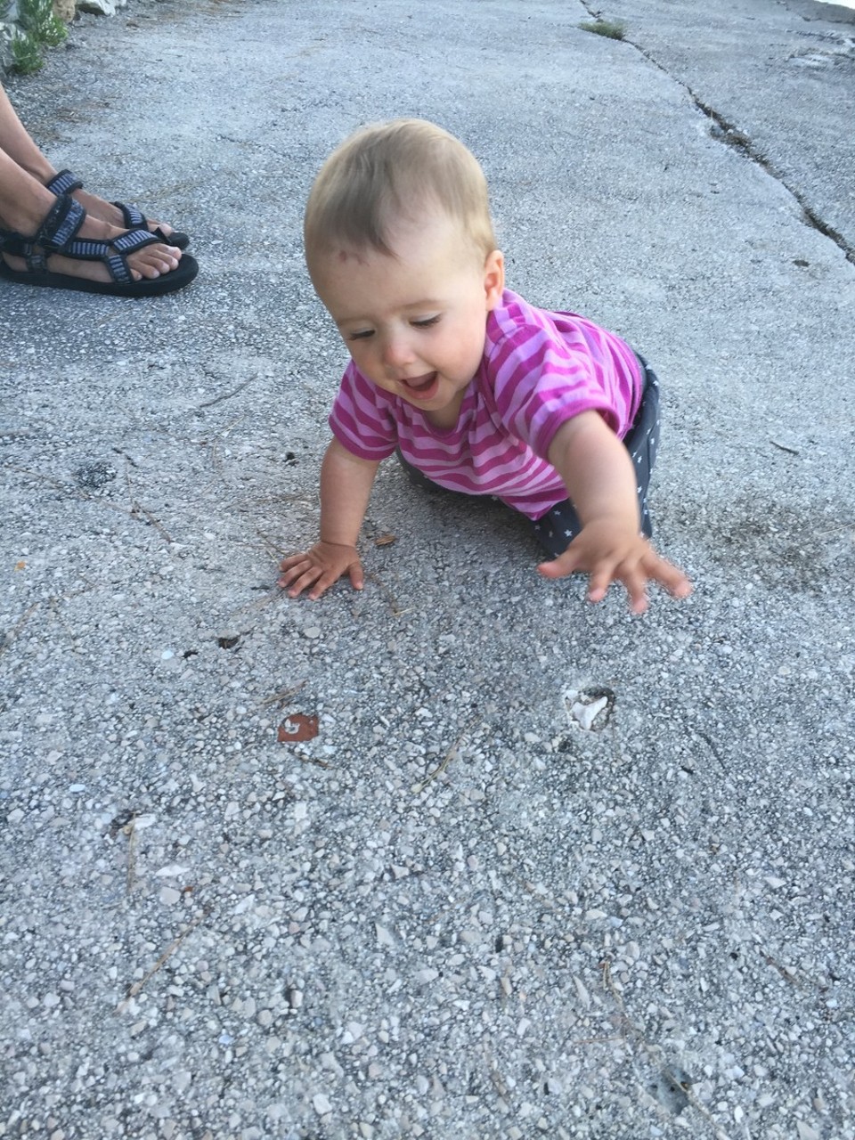 Kroatien - unbekannt - krabbeln