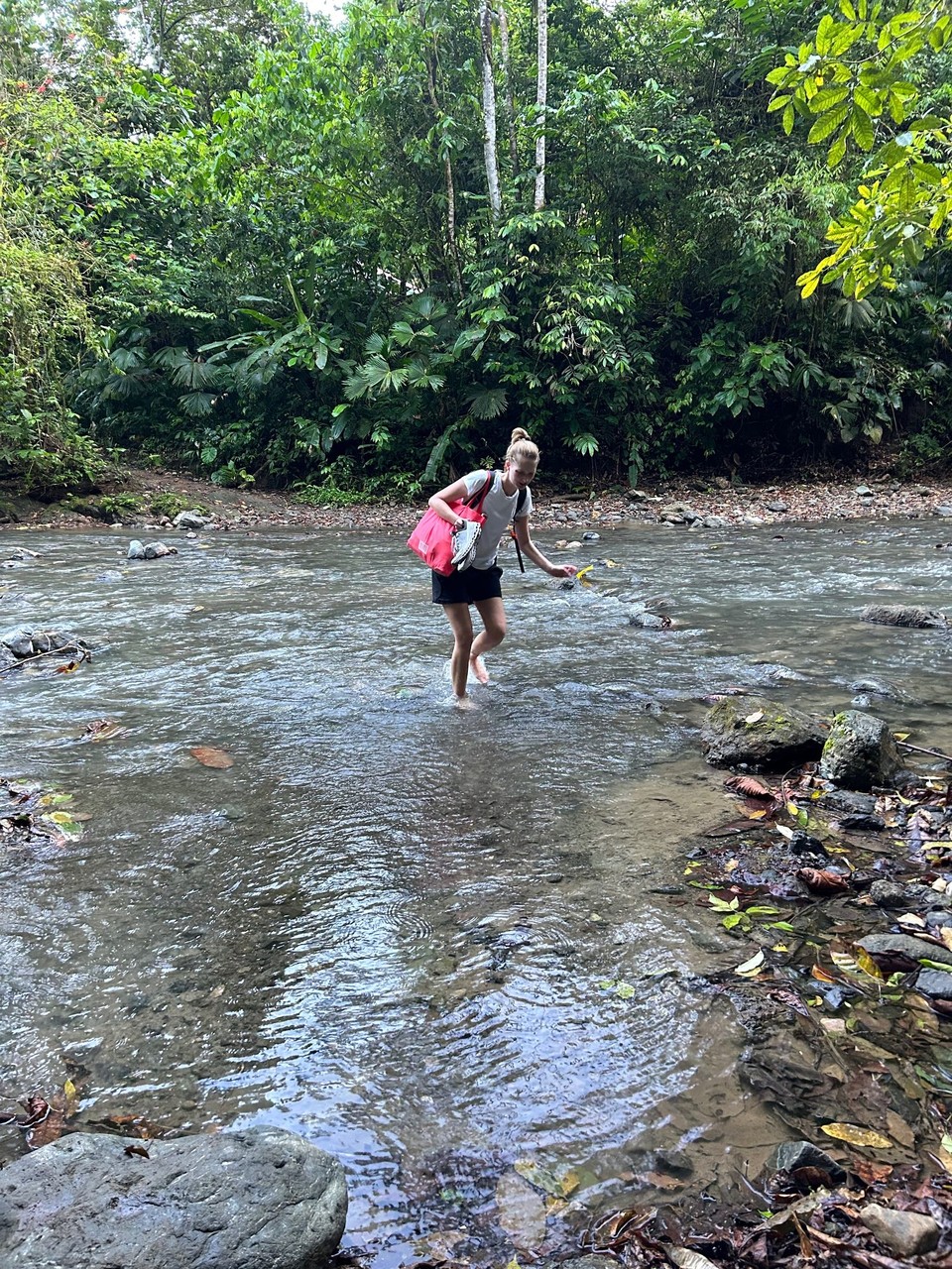Costa Rica - Nationalpark Corcovado - 