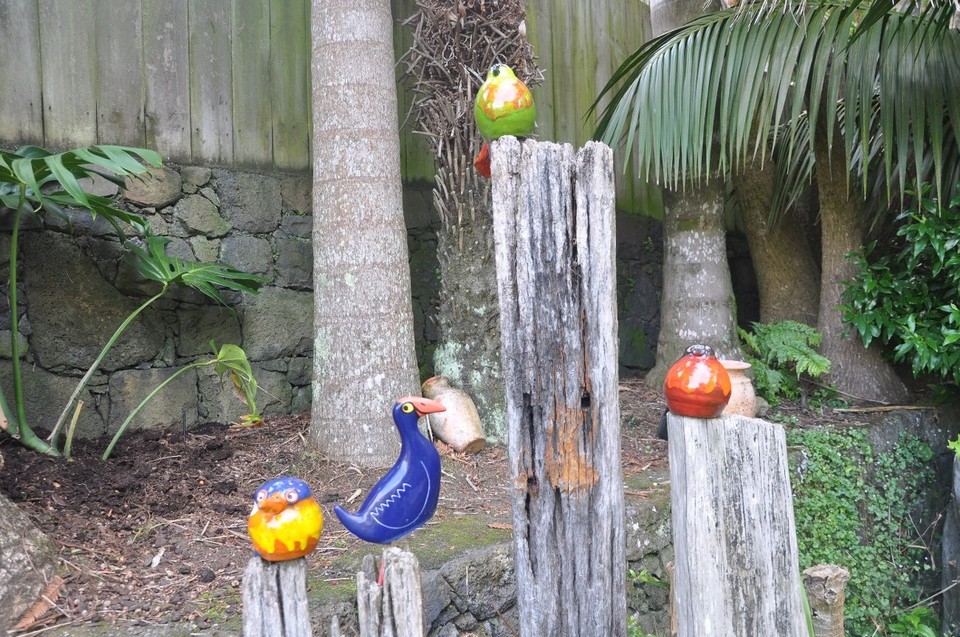 Neuseeland - Auckland - Bravo Grunzi!