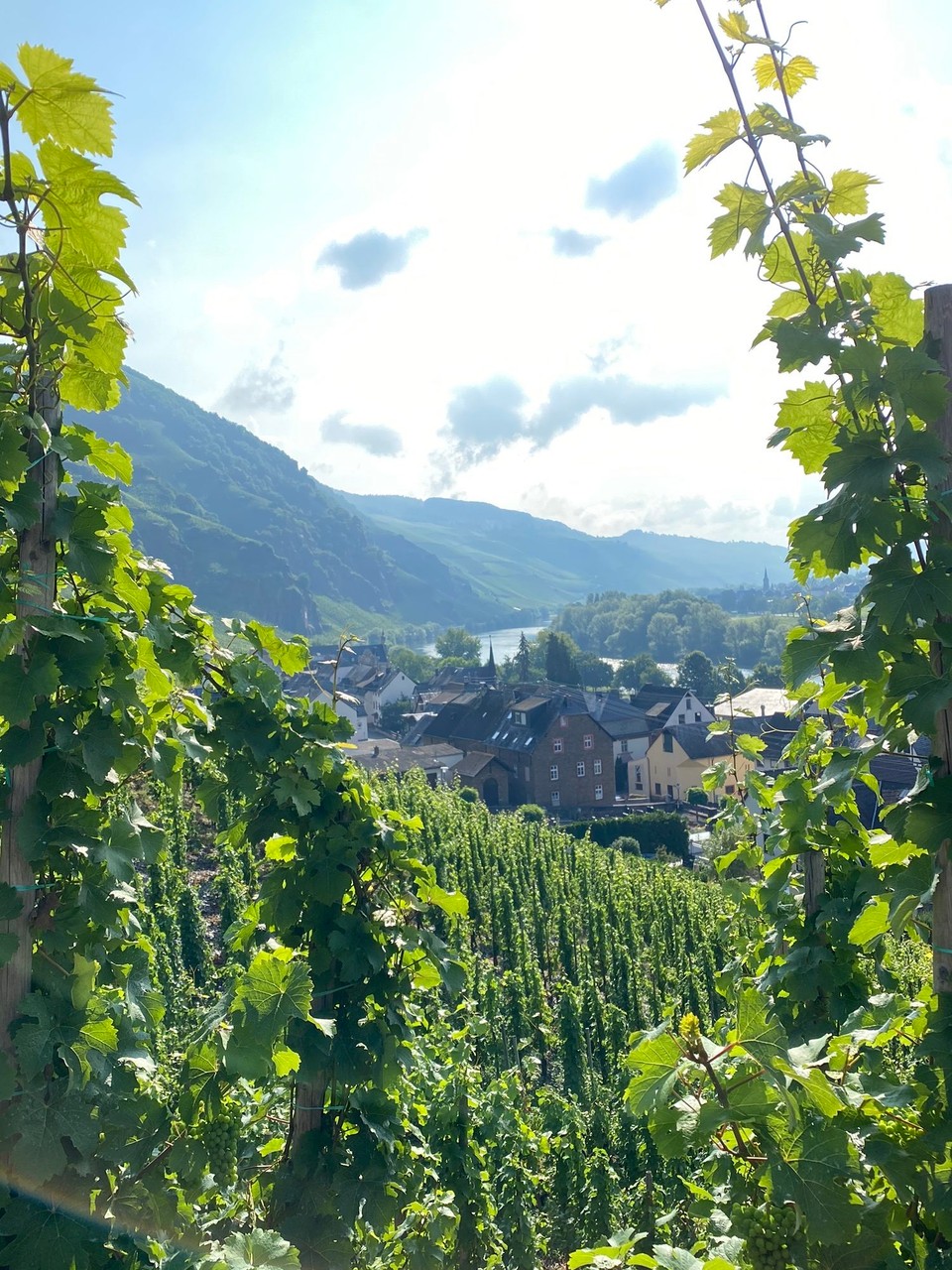 Deutschland - Traben-Trarbach - 