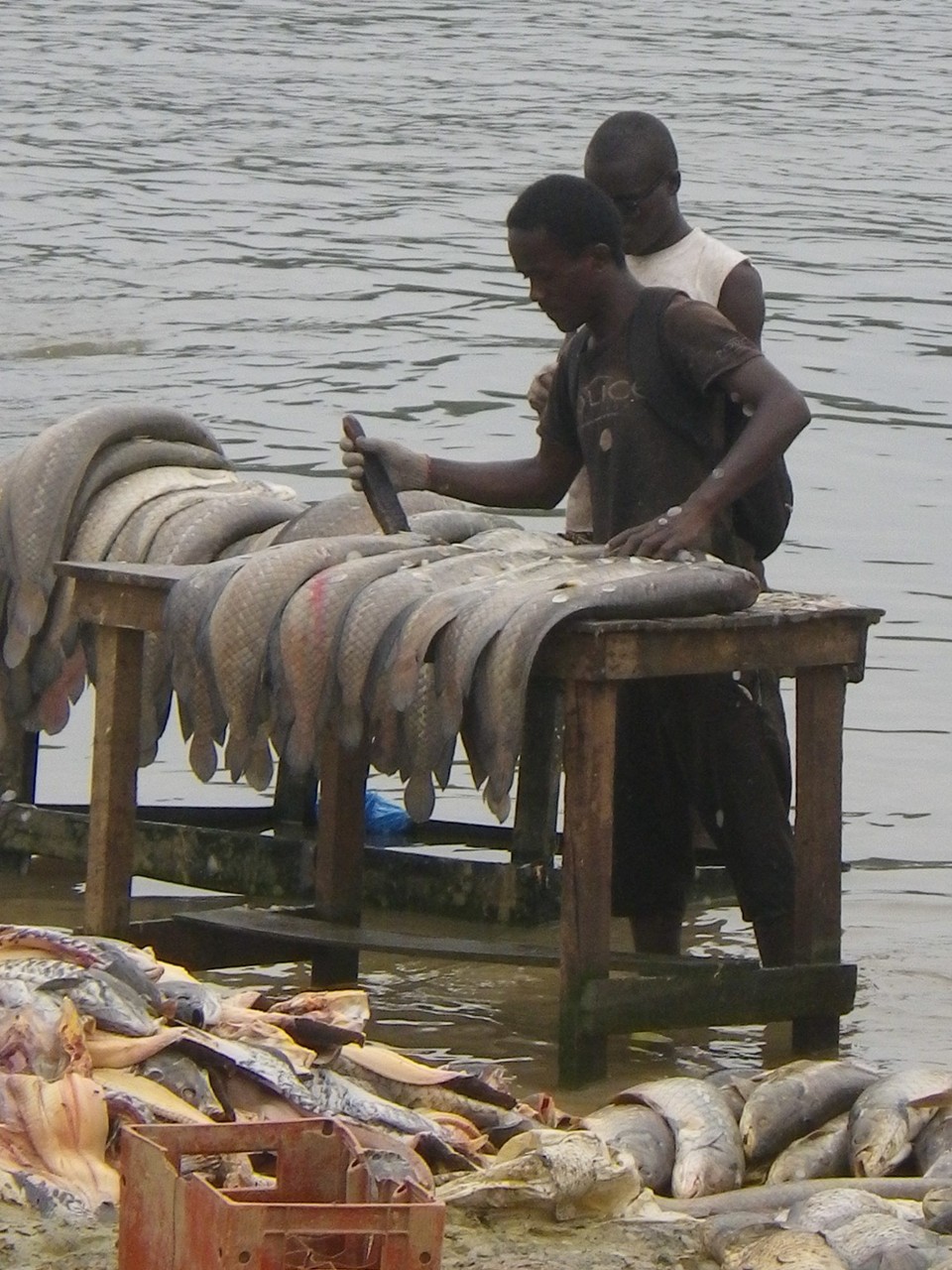 Gabun - Lambaréné - Fischmarkt 