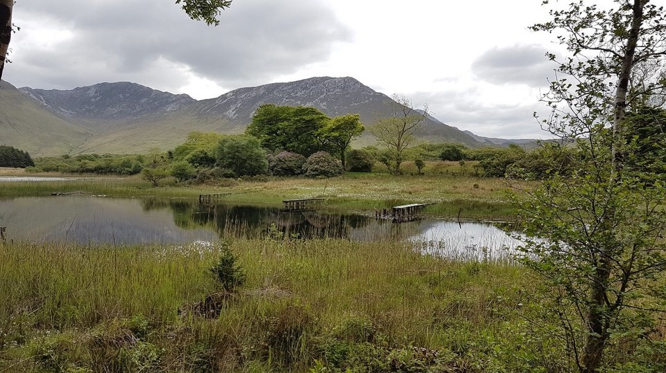 Irland - Galway - 