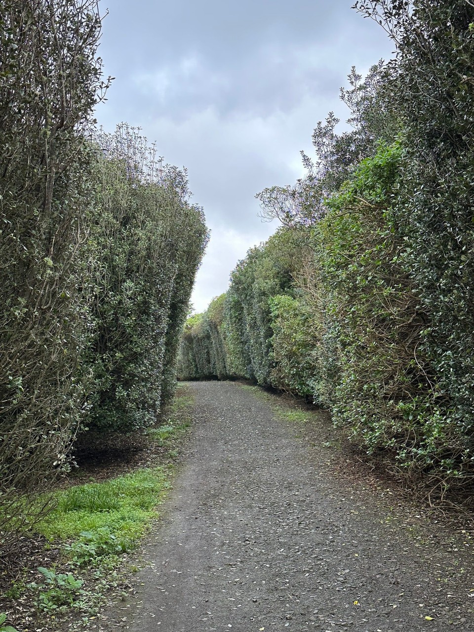 Neuseeland - Auckland - Morgenspaziergang im Ambury Park