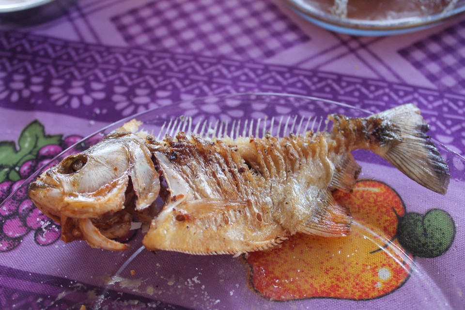 unbekannt - Rio Javari - leider isst man nur den oberen Teil, da im unteren kaum Fleisch dran ist. Und danach sieht man dann nur noch oben die Gräten rausschauen
