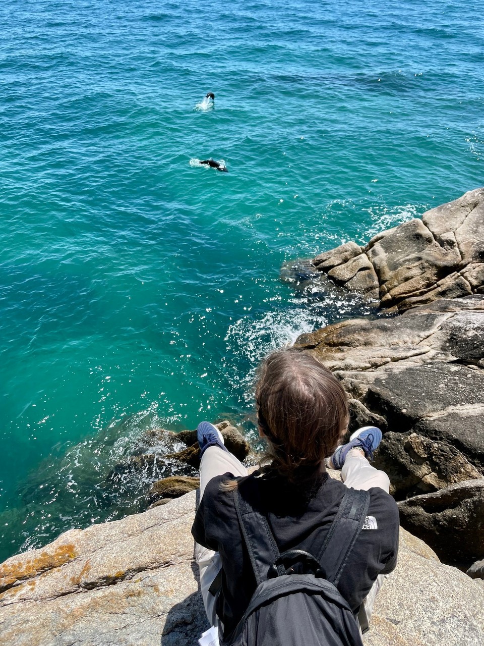 Neuseeland - Abel Tasman National Park - 