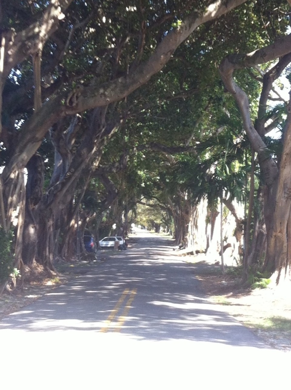 Egyesült Államok - Coral Gables - 