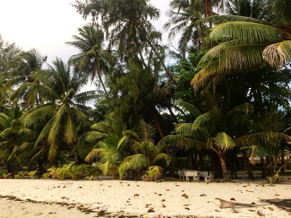 Thailand - Koh Samui - 