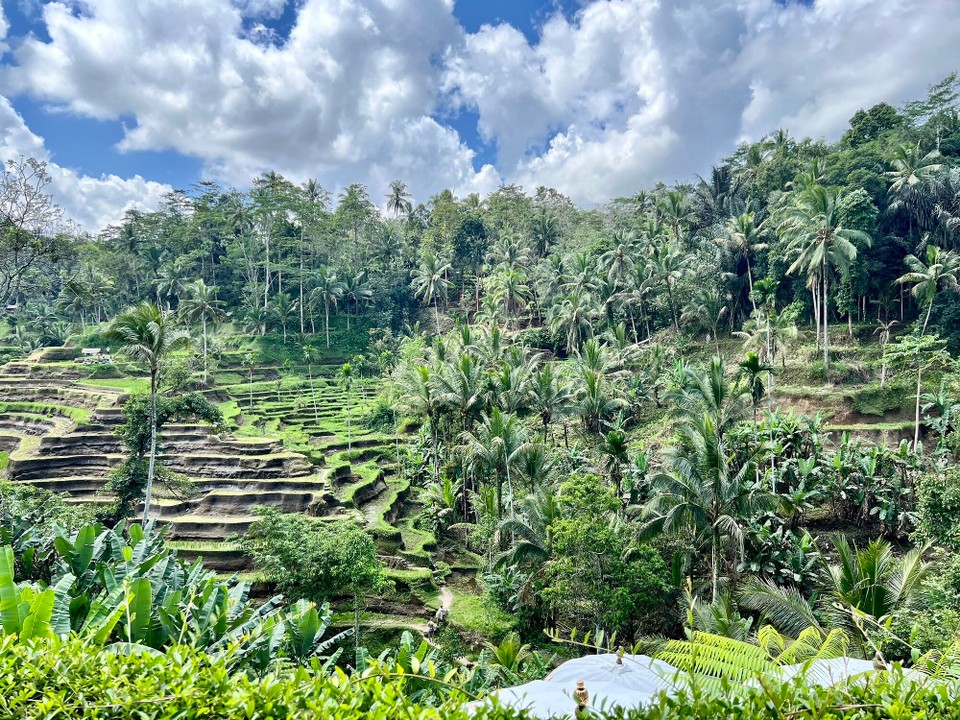 Indonesien - Gianyar - 