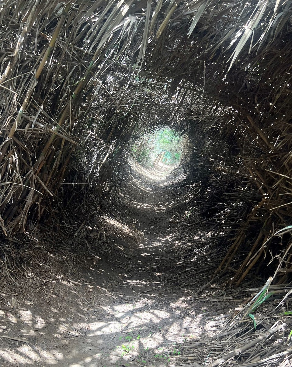 Portugal - São Teotónio - 