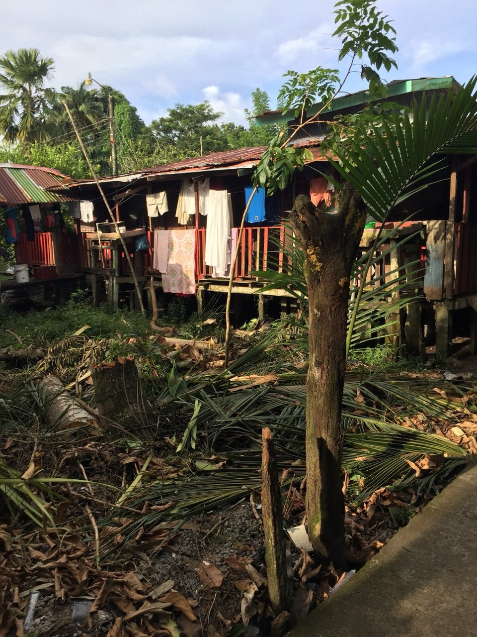 Costa Rica - Pococí - 