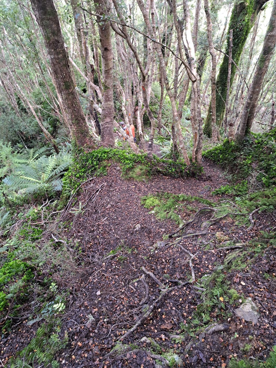 Neuseeland - Parawai Lodge - 