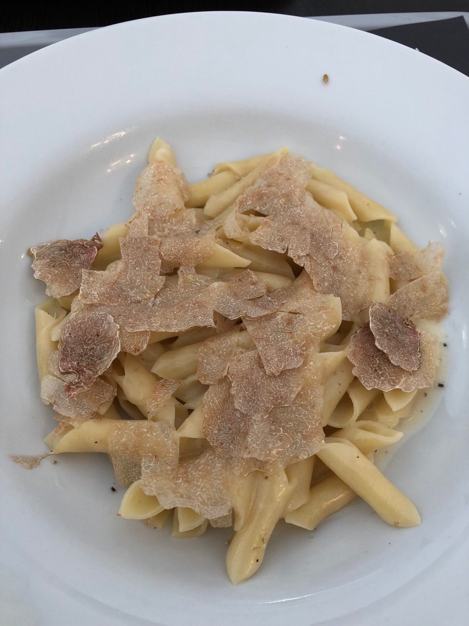 Kroatien - Livade - Weißer Trüffel