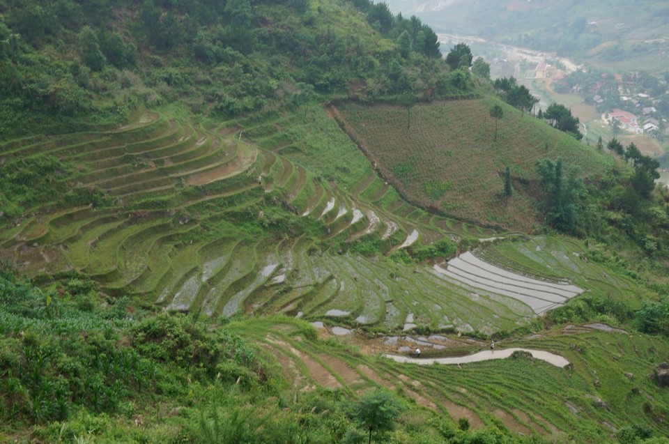 Vietnam -  - 