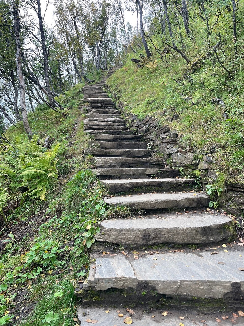 Norwegen - Tromsdalen - Sherpa Treppen auf den Hausberg - und zwar..