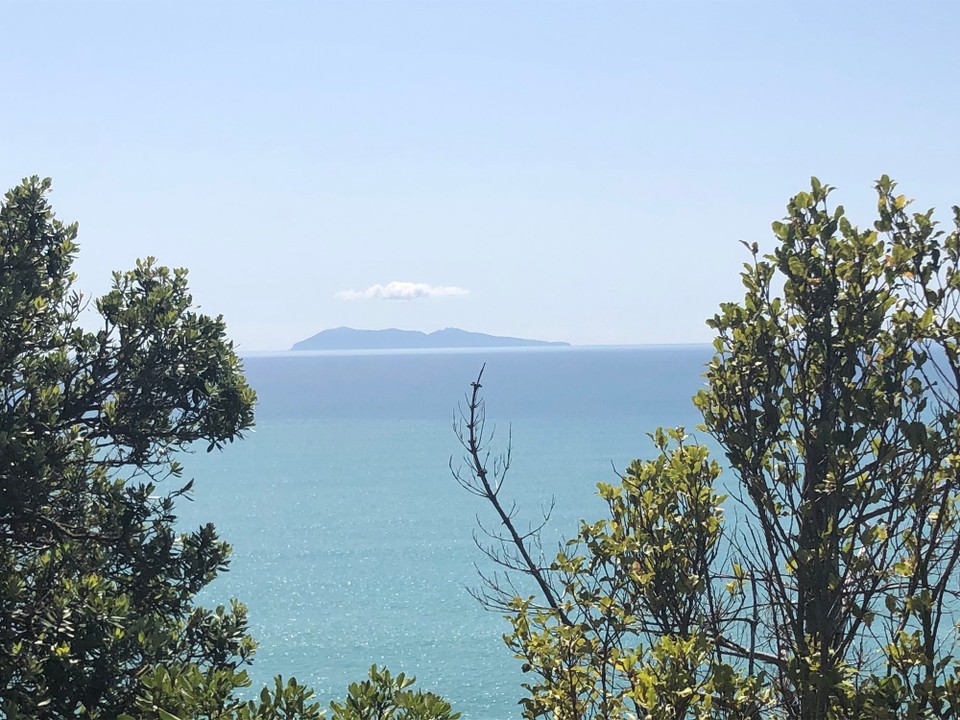 Neuseeland - Waihi Beach - Mayor Island 
