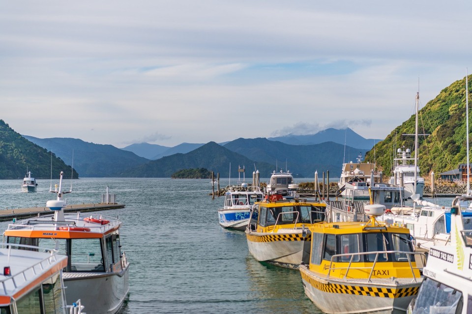 Neuseeland - Picton - 