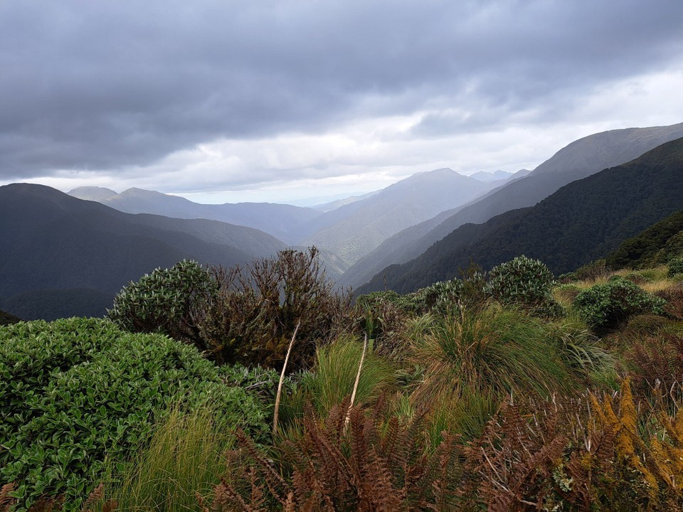 Neuseeland - Te Aroha trail PK - 