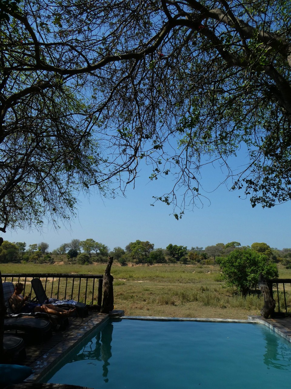Südafrika - Kruger-Nationalpark - Sicht auf ein Wasserloch
