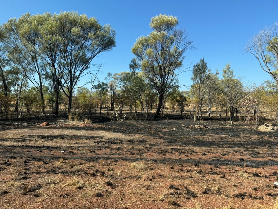Australien - Georgetown - Macht schu Sinn, dass ma vu Bushfire redt. - D Bäum preichts nid.