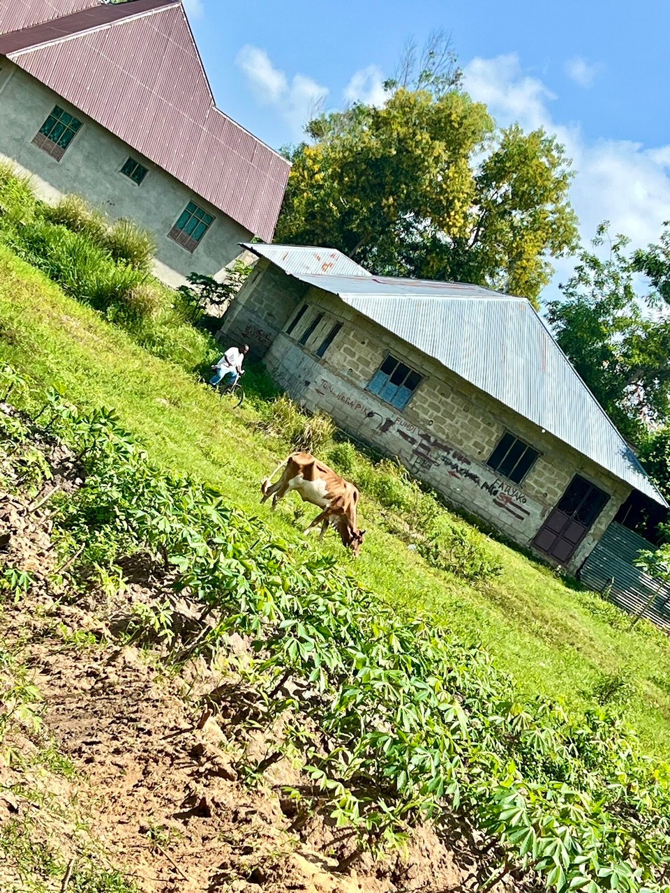 Tansania -  - 