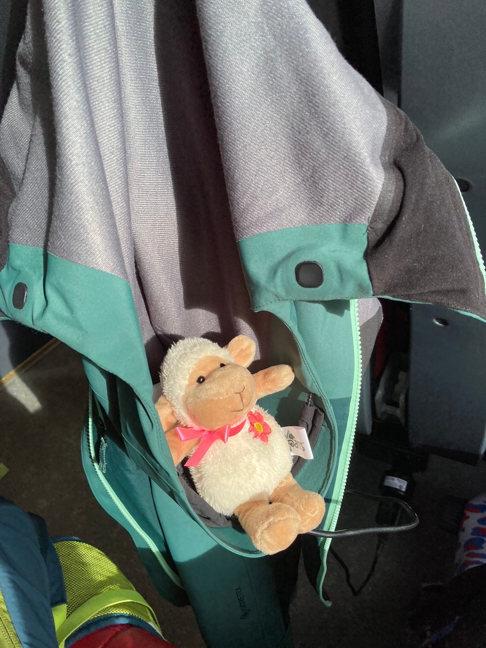 Neuseeland - Palmerston North - Ein Platz an der Sonne ist immer schön 😎