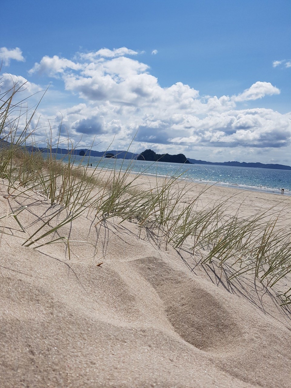 Neuseeland - Hahei - Hahei Beach
