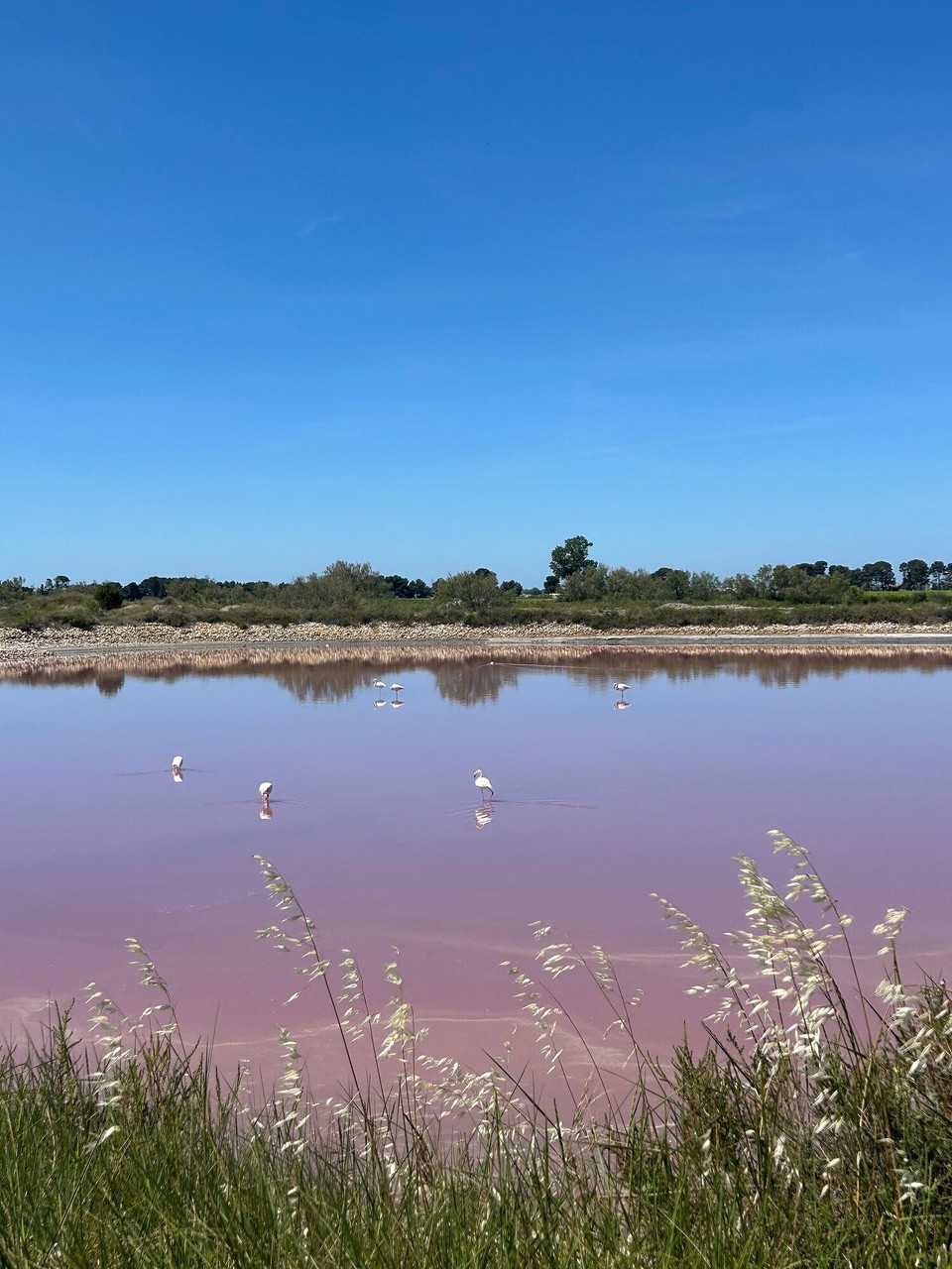 Frankreich - Aigues-Mortes - 