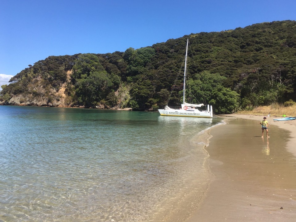 Neuseeland - Paihia - Wir sind 2 Stunden hin gefahren, 2 Stunden auf einer Insel geblieben und 2 Stunden zurück gefahren. 