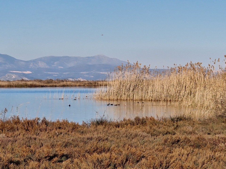 Griechenland - Agios Andreas - 