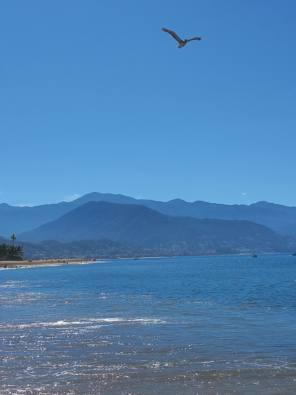 Mexiko - Puerto Vallarta - 