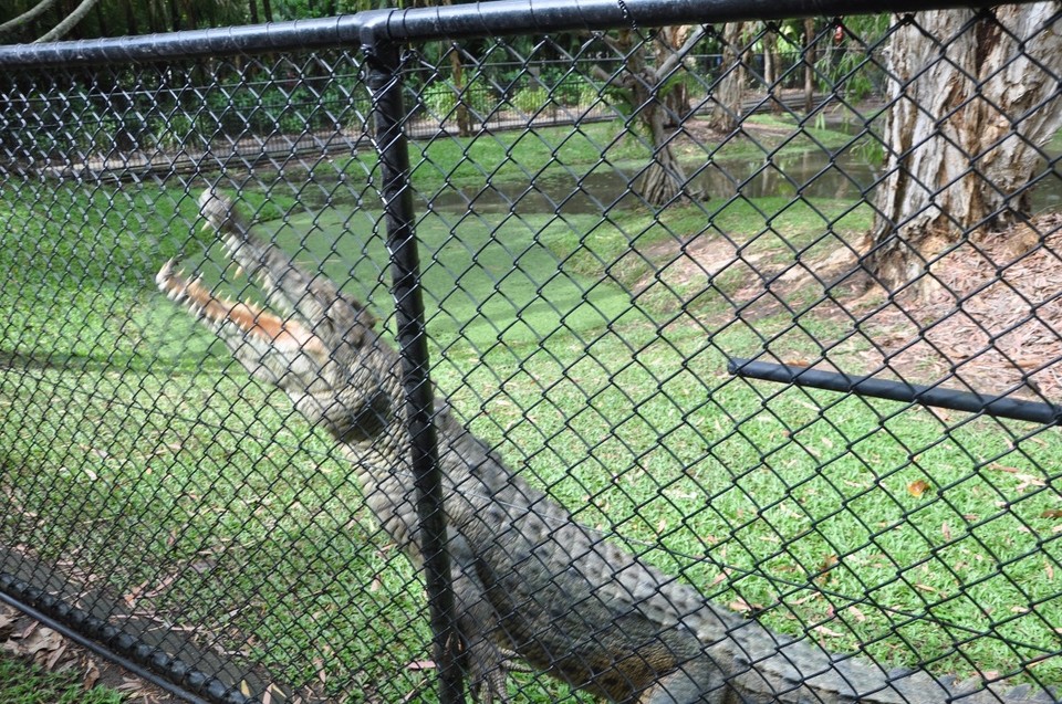 Australien - Noosa Heads - 