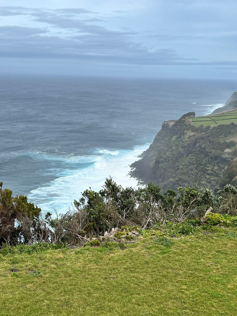 Portugal - Praia da Vitória - Ausblick auf die Steilküste 