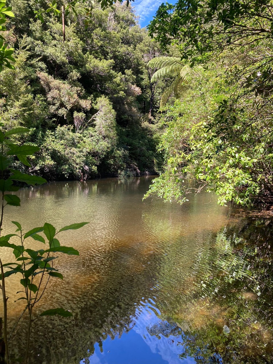 Neuseeland - Picton - Humphries Dam