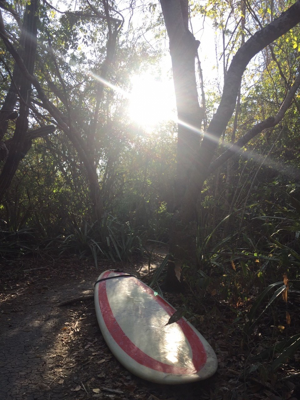 Mexiko - Punta Mita - 