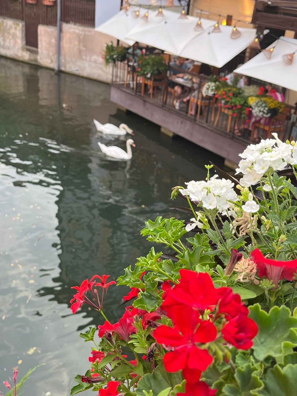 Frankreich - Colmar - 