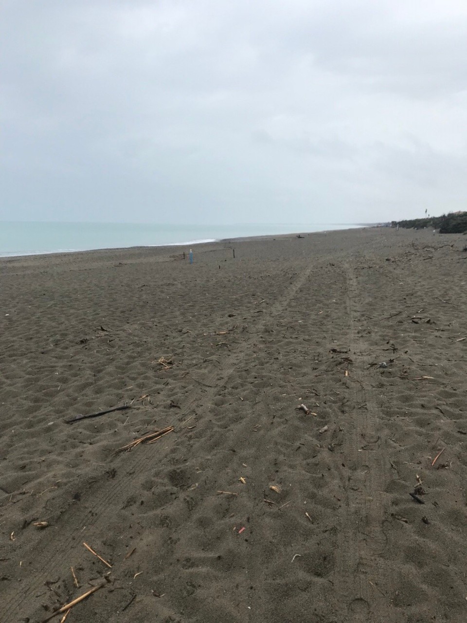 Italien - Bibbona - 