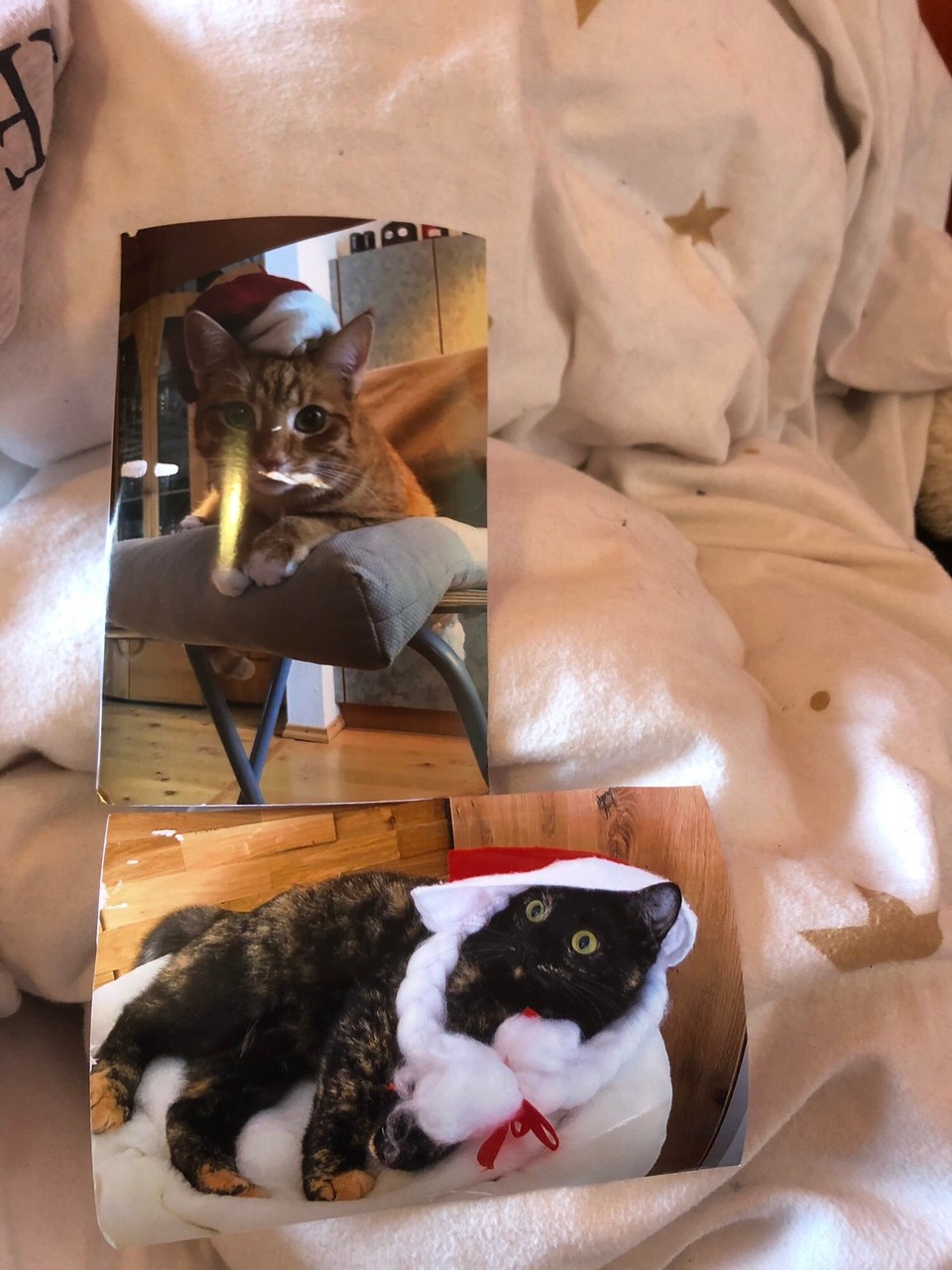 Frankreich - Grenoble - 