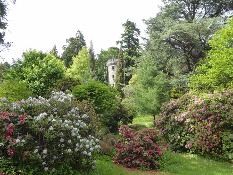 Ireland - Enniskerry - Tower Valley with the Pepperpot Tower.