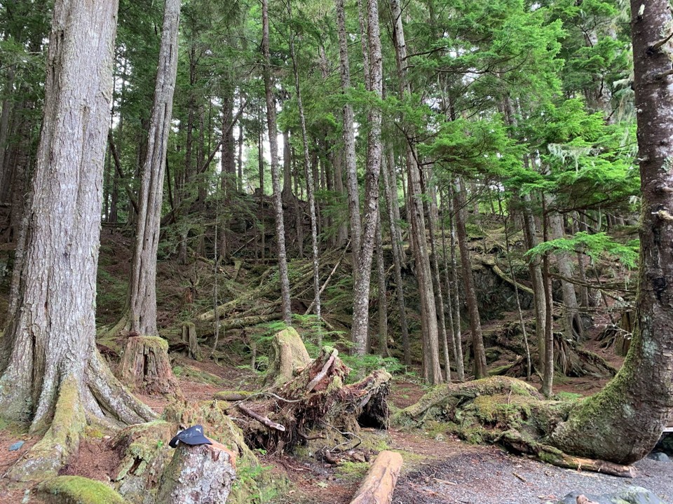 Kanada - Mount Waddington A - 