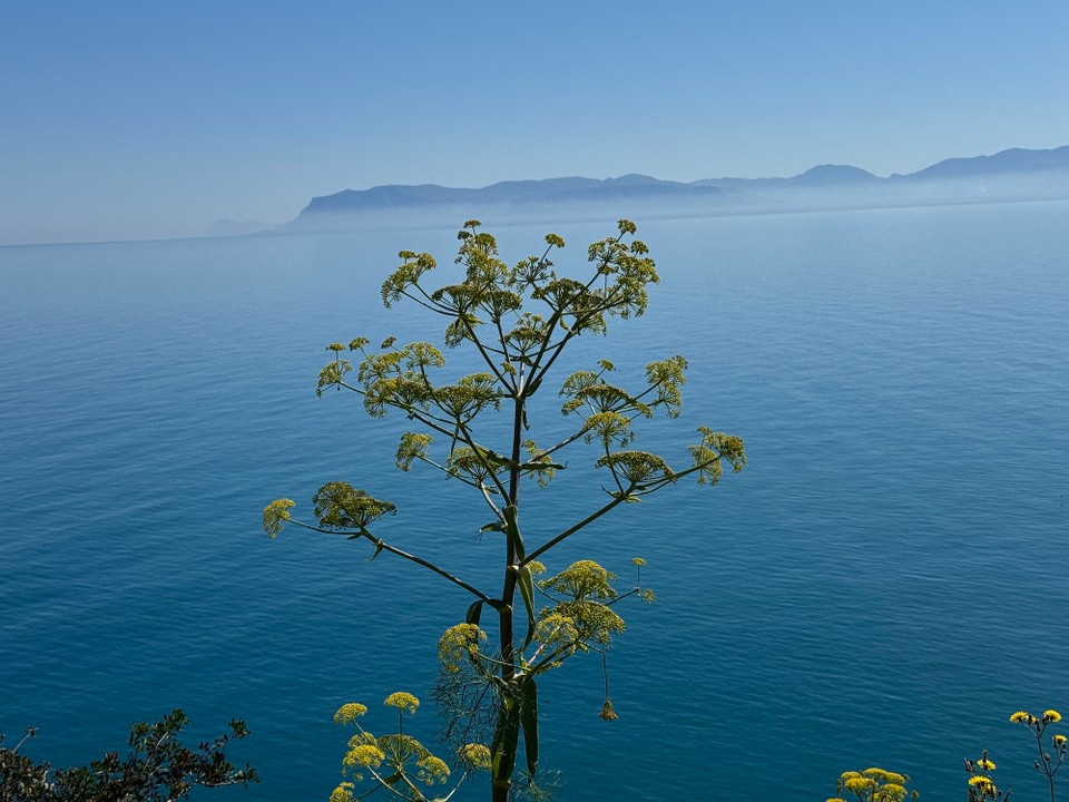 Italien - Castellammare del Golfo - 